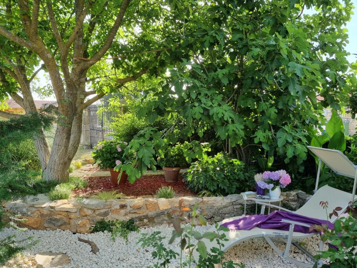 Stonehouse Ana With Jacuzzi Rovinj-Krmed Villa Eksteriør billede